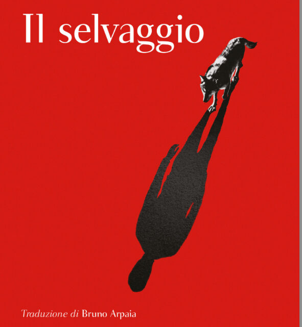 Il selvaggio – un romanzo di Guillermo Arriaga